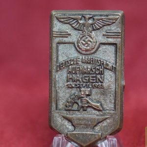 NSBO Aufmarsch Hagen tinnie