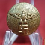 24mm gold political button