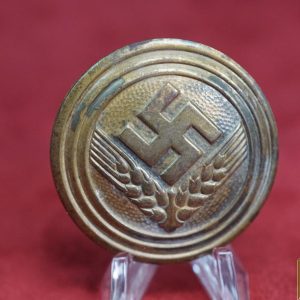 RADwJ Rank Badge - Stabsoberfuhrerin