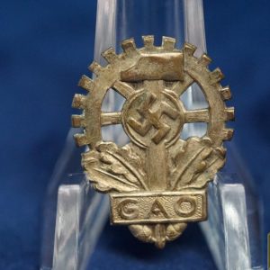 GAO Member pin