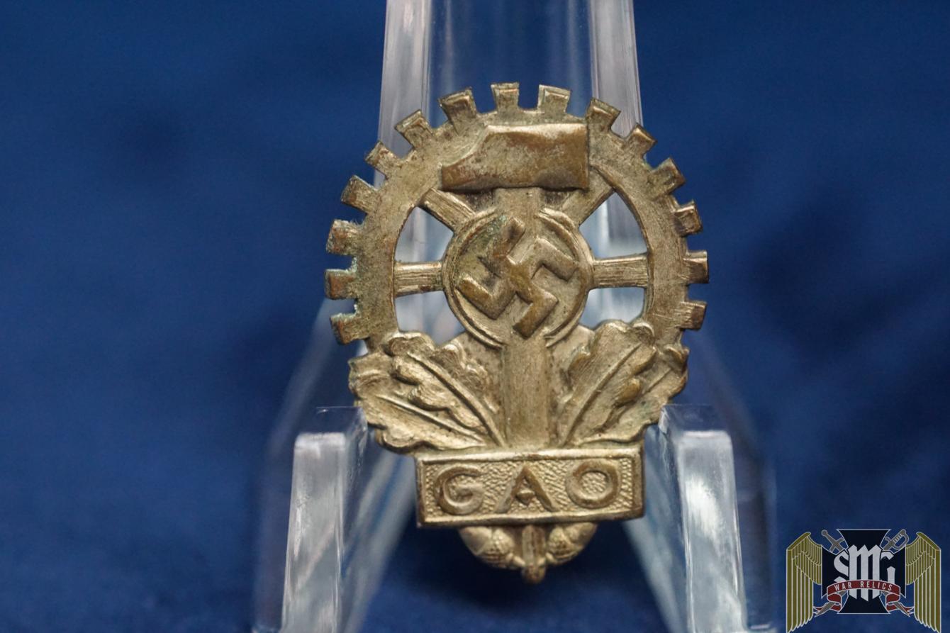 GAO Member pin