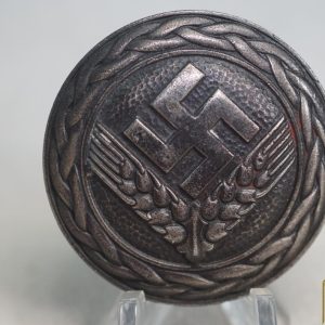 RAD Women's brooch
