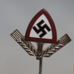 Enamel RAD stick pin
