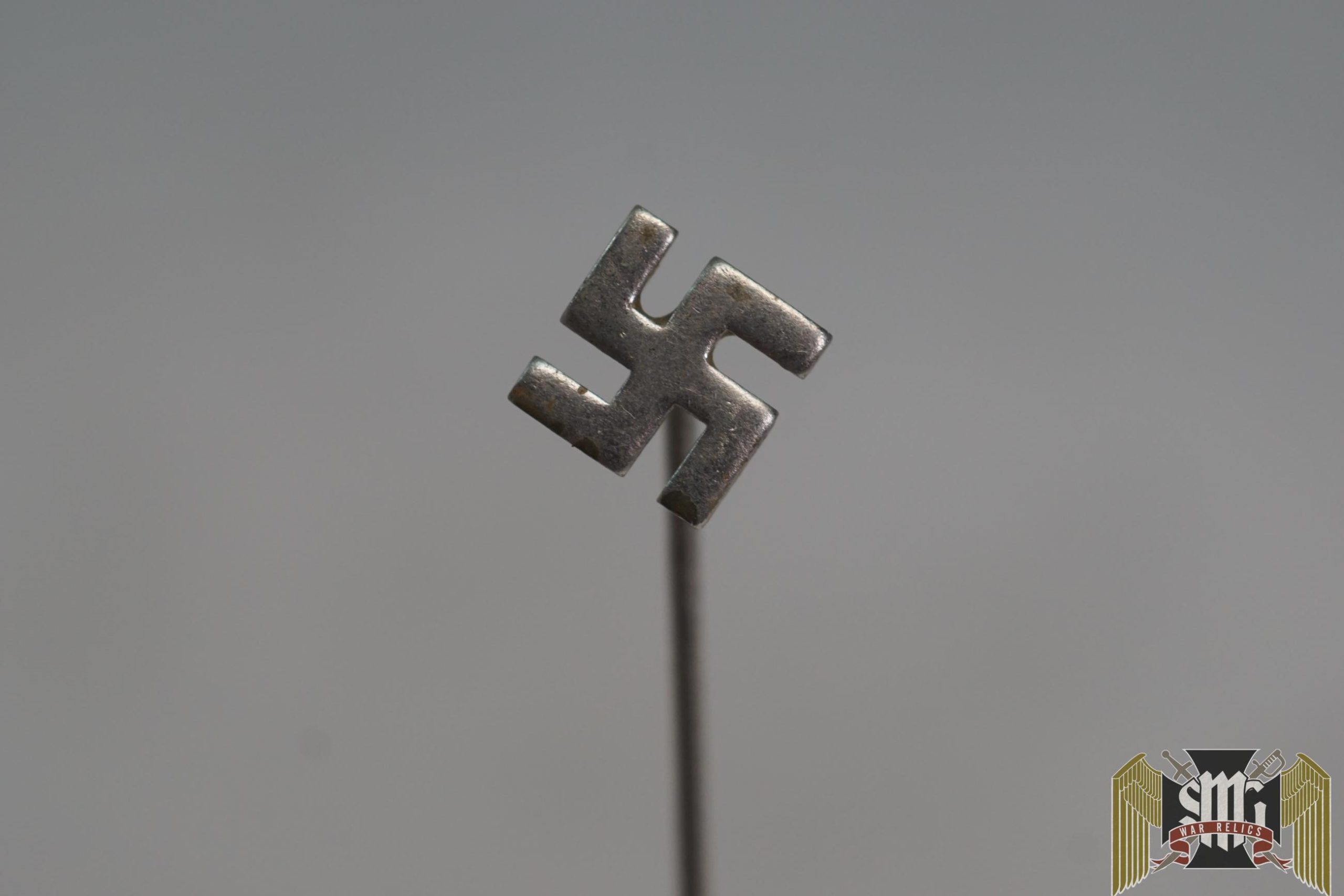 Nazi Sympathizer pin