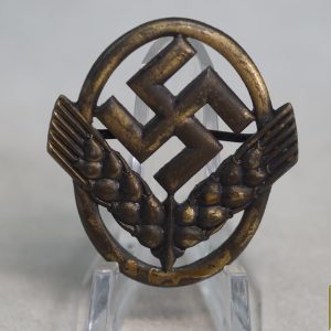 RADwj Cap badge