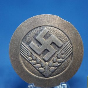 RAD Brooch