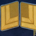 HauptStellenleiter NSDAP Collar tabs Orts Level W/ RZM tag