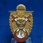 Tunisia Para Commando Jump badge