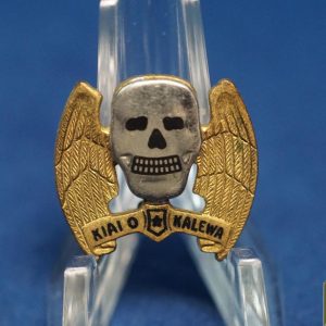 Early US 5th Bomb Group DI pin