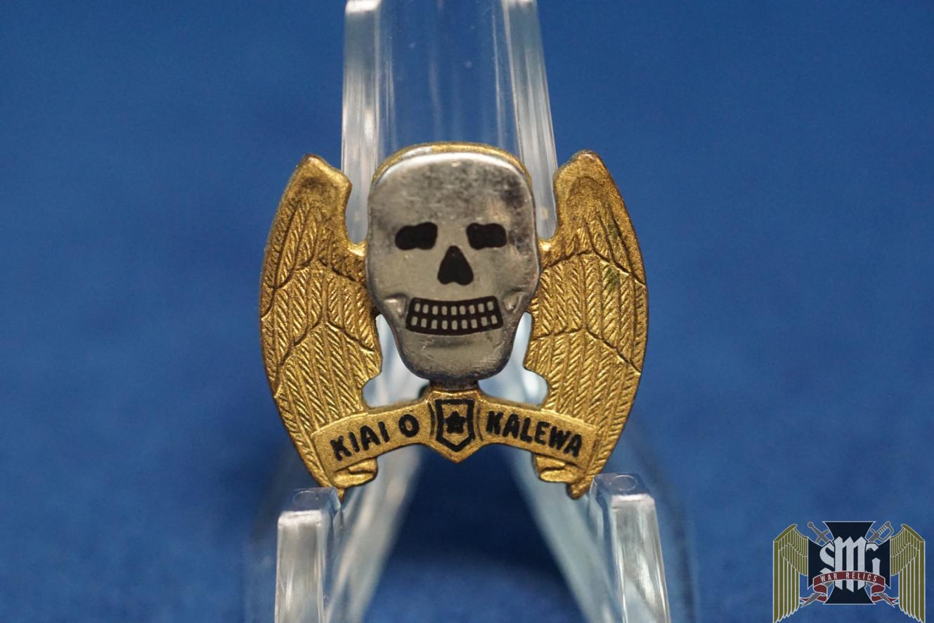 Early US 5th Bomb Group DI pin