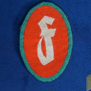 Luftschutz Sicherheits und Hilfsdienst Firefighter Insignia in BeVo