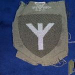RAD Medical Insignia