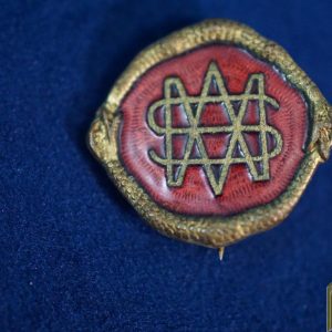Vintage Masonic or Fraternal Pin ?