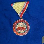 Hungarian 500 Flight Hours Medal