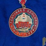 Hungarian 500 Flight Hours Medal