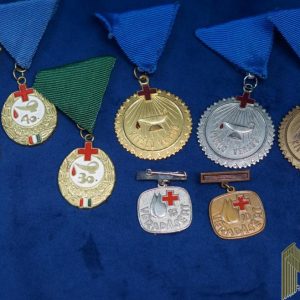 Hungary Honorary Blood Donors Medal Set