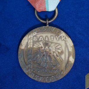 Polish Peace Guardian Medal Bronze