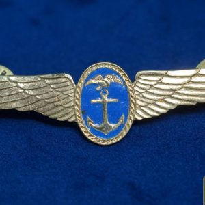 Unidentified Navy Aviator wings