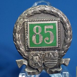 WW1 Austria Regiment 85 cap badge