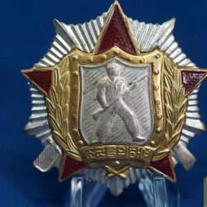 North Korea Soldiers Honor 2nd class