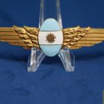 Argentina Airforce Wing Pilot?
