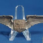 Navigator/Combat systems wings sterling