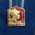 WW2 Italian Fascist AFS Member pin