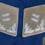 Heer Reviertorester Collar tabs matched Set Reich Forestchutz