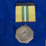 Congressional Texas Cavalry Brigade medal 1918