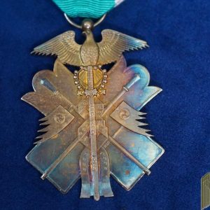 Japanese Golden Kite 7th Class