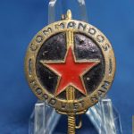 Vietnam French Commando pin