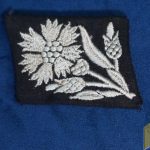 Collar tab 22 SS Freiwilligen Kavallerie Division Maria Theresia