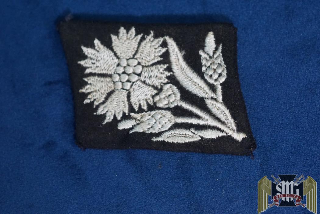 Collar tab 22 SS Freiwilligen Kavallerie Division Maria Theresia