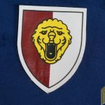 Belgian 16th Cav Division insignia