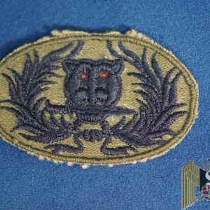Thailand Ranger Badge