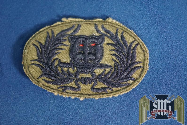 Thailand Ranger Badge