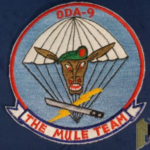 Vietnam era oda 9 special forces Patch