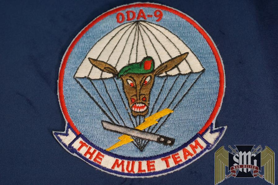 Vietnam era oda 9 special forces Patch