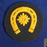 Farrier Instructor Specialty Patch