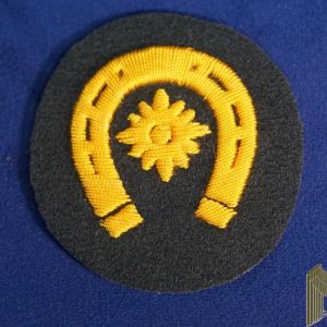 Farrier Instructor Specialty Patch