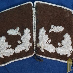 State Forestry Service Reviertorester Auberplanmbig Collar Tabs