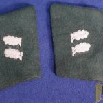 Third Reich Private Forestry Service Forstaufseher Collar Tabs
