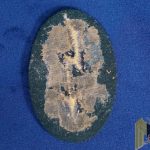 Pioneer Signal Patch Tropical