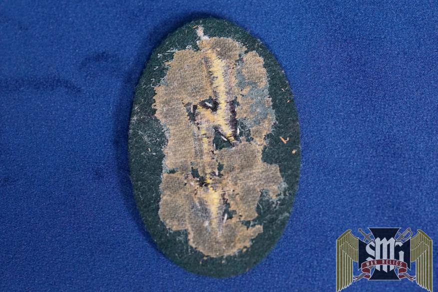Pioneer Signal Patch Tropical