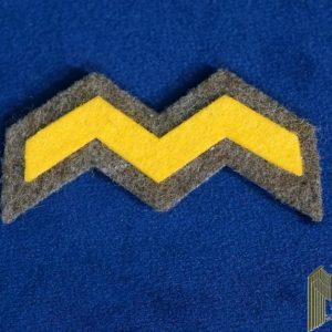 WW II Japanese Army Artillery Branch of Service Insignia