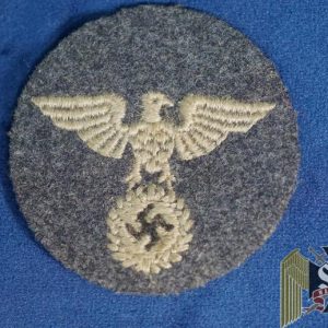 DLV Sleeve Insignia