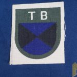 Terek Cossacks Foreign Volunteers Sleeve Shield