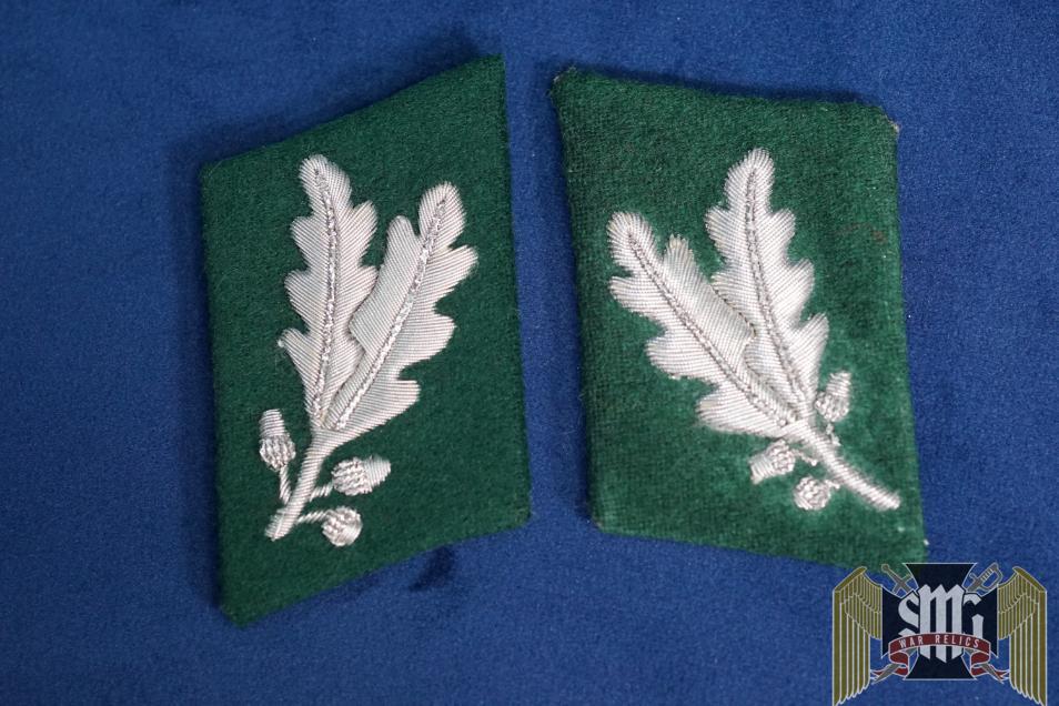 Deutsche Jagerschaft Gaujagermeister Collar tabs
