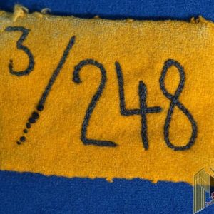 SA Collar Tab 248th Standarte Franken RZM tagged