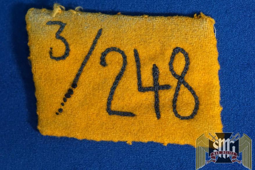 SA Collar Tab 248th Standarte Franken RZM tagged